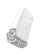 The American sponge brush – precision-crafted